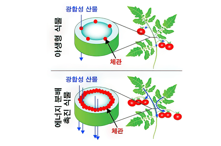news_image