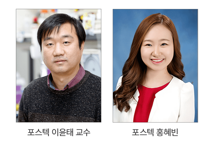 news_image