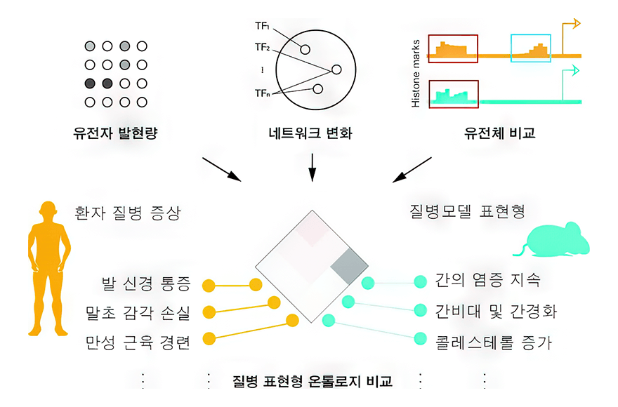 news_image