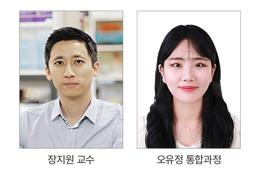 news_image
