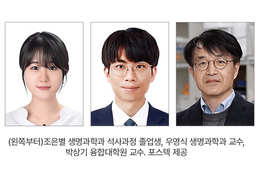 news_image