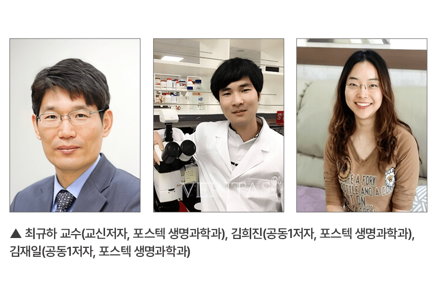 첨부파일