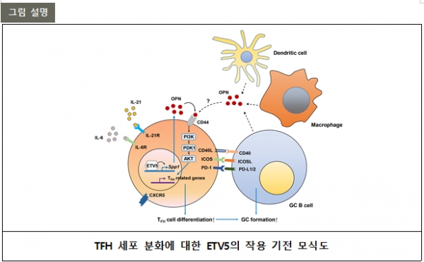 첨부파일