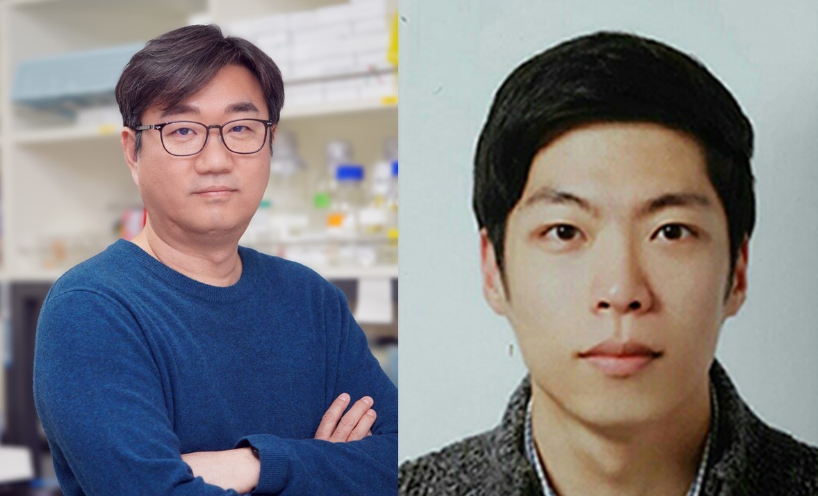 첨부파일