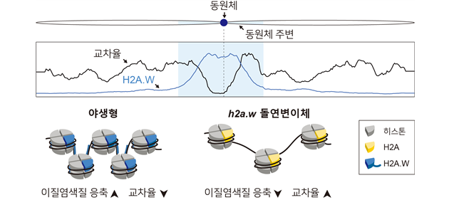 첨부파일