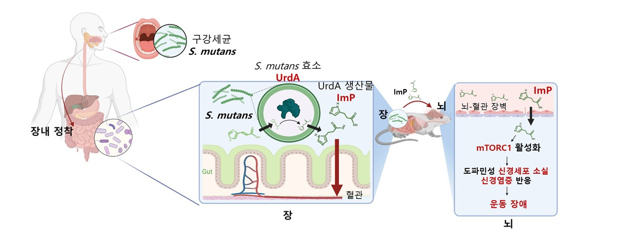 첨부파일
