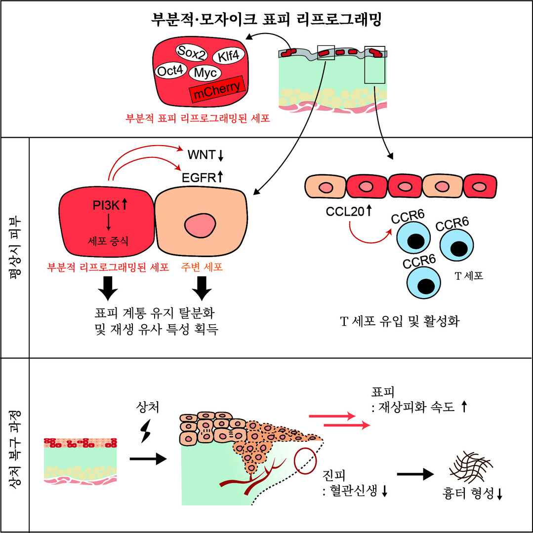 첨부파일