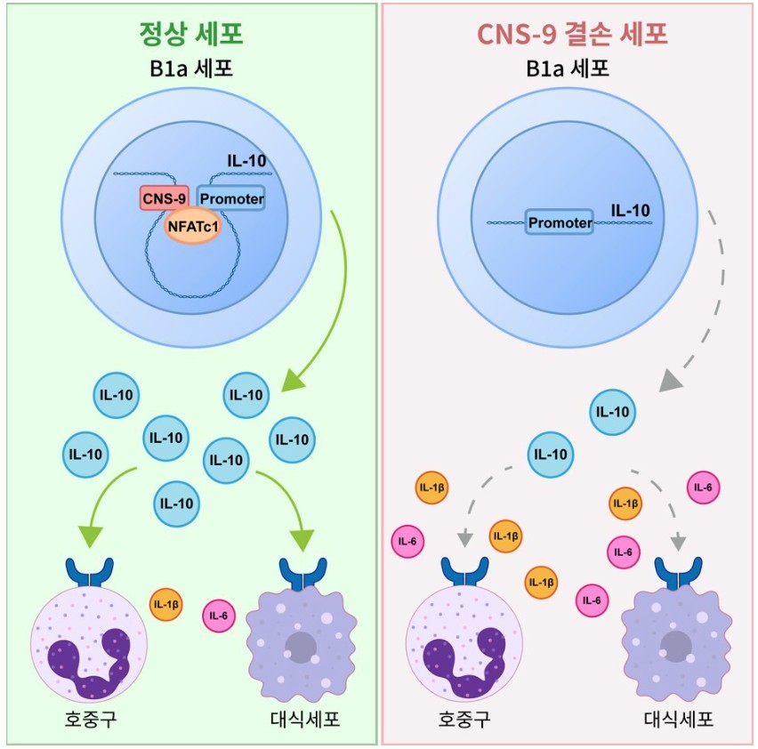 첨부파일