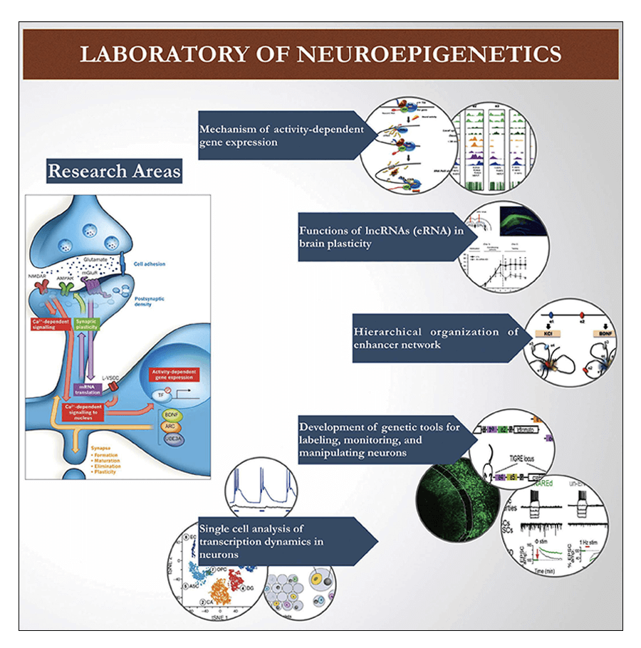 Tae Kyung Kim_Research image