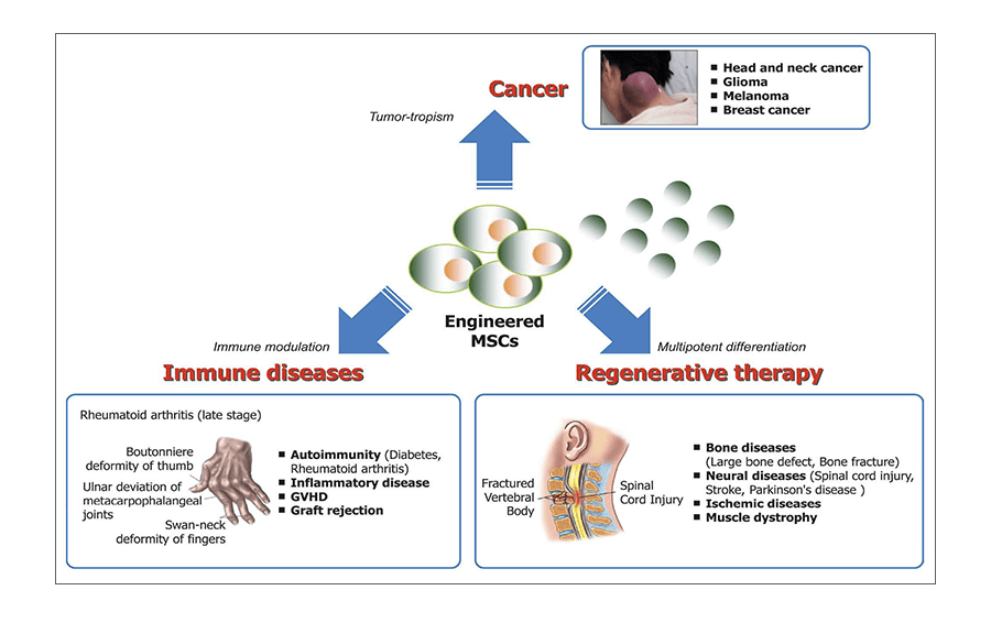 Young Chul Sung_Research image