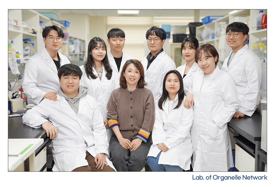 Joo Yeon Yoo_Research image