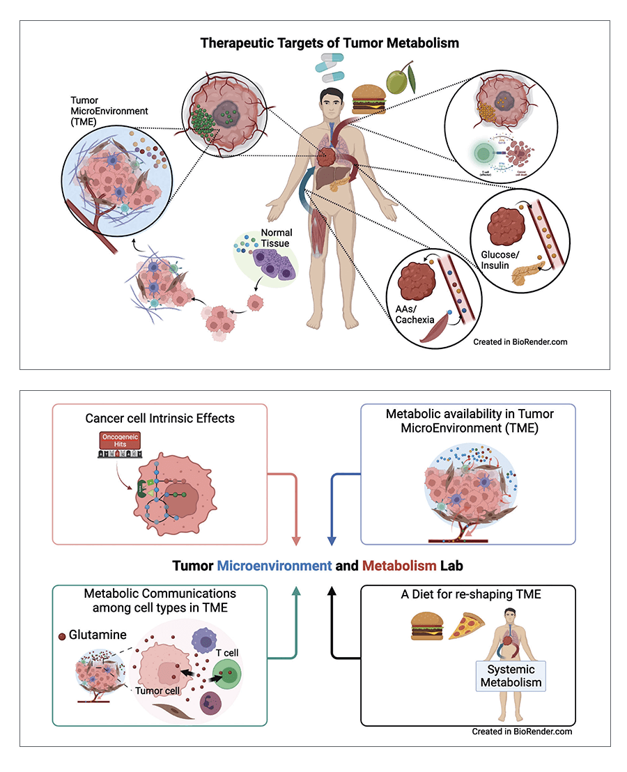 Min Sik Lee_Research image