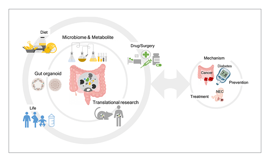 A Ra Koh_Research image