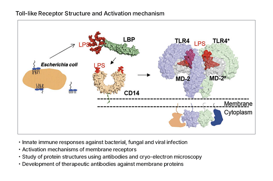 Jie Oh Lee_Research image