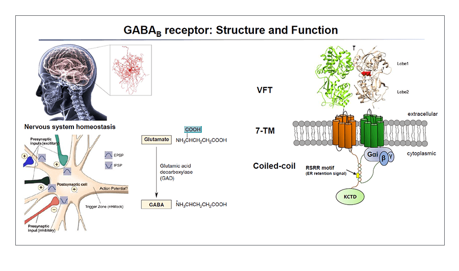 Yun Je Cho_Research image