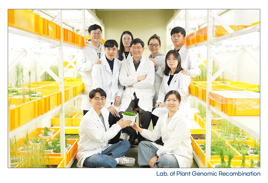 Kyu Ha Choi_Research image