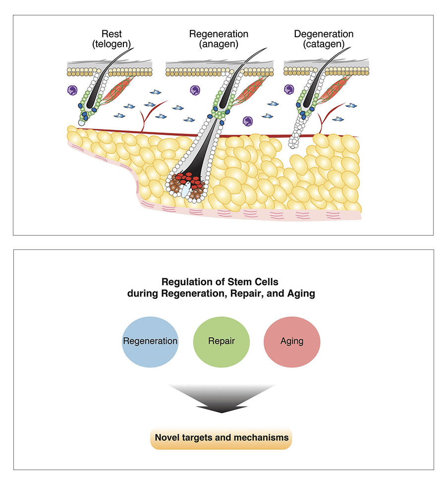 Se Kyu Choi_Research image