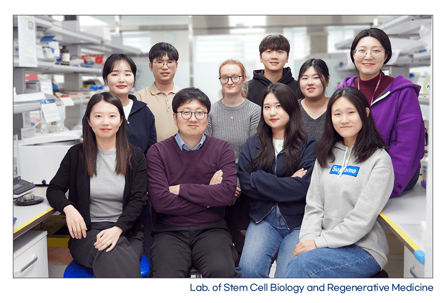 Se Kyu Choi_Research image