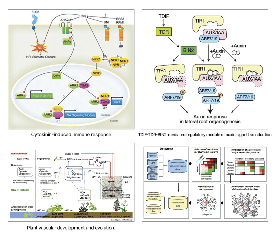 ll Doo Hwang_Research image