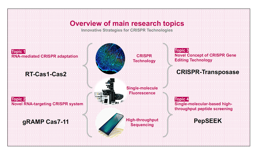 Sung chul Kim_Research image 01