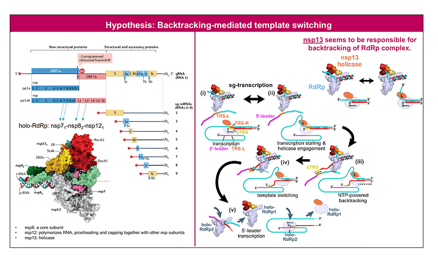 Sung chul Kim_Research image 05