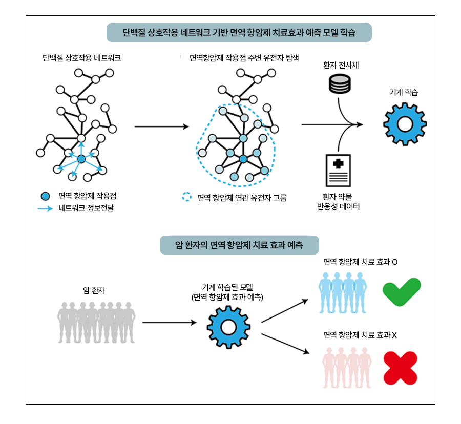 Sang Uk Kim_Research image