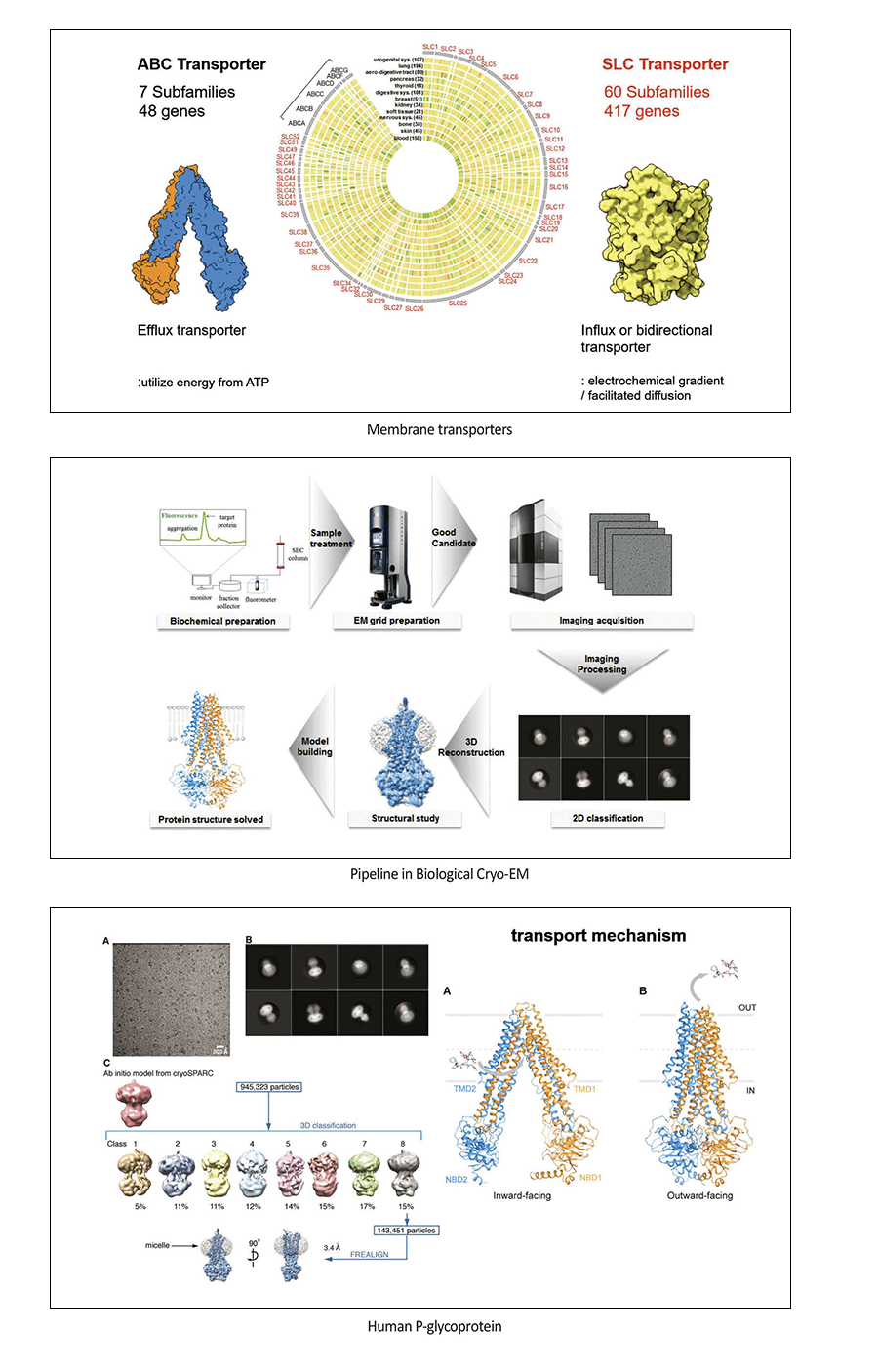 Young Jin Kim_Research image
