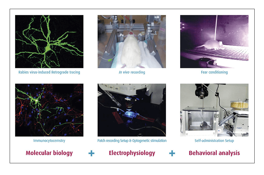Joung Hun Kim_Research image