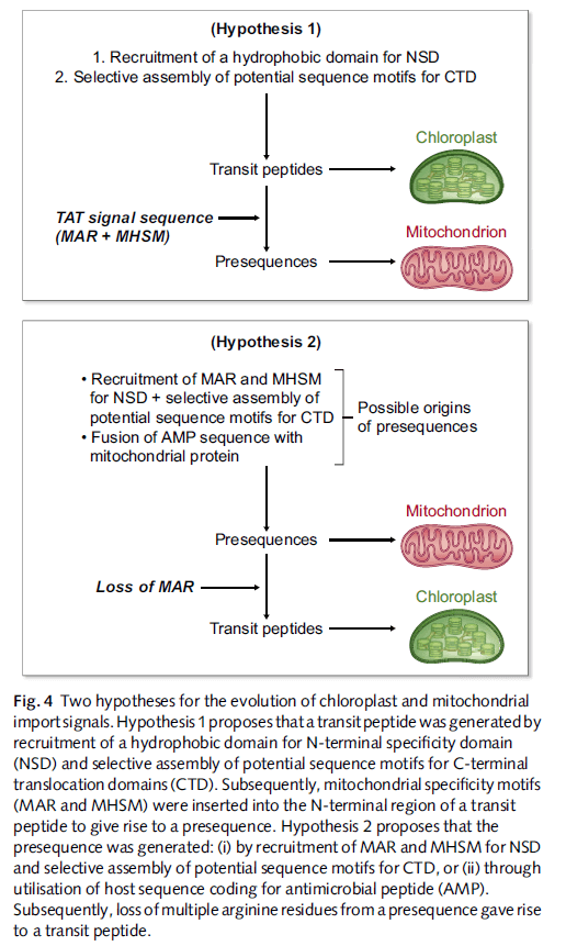 research_image