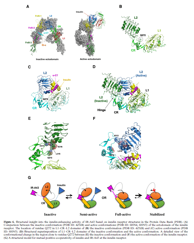 research_image