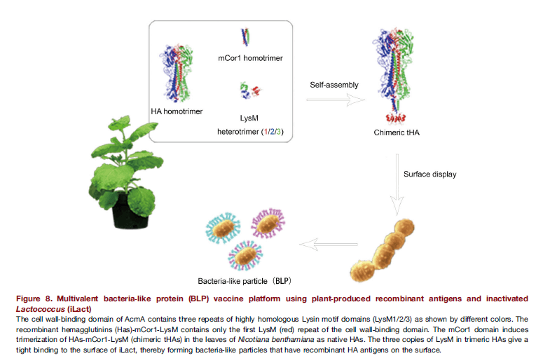 research_image