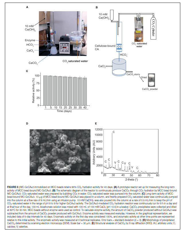 research_image