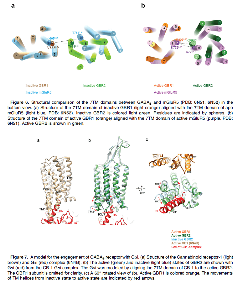 research_image