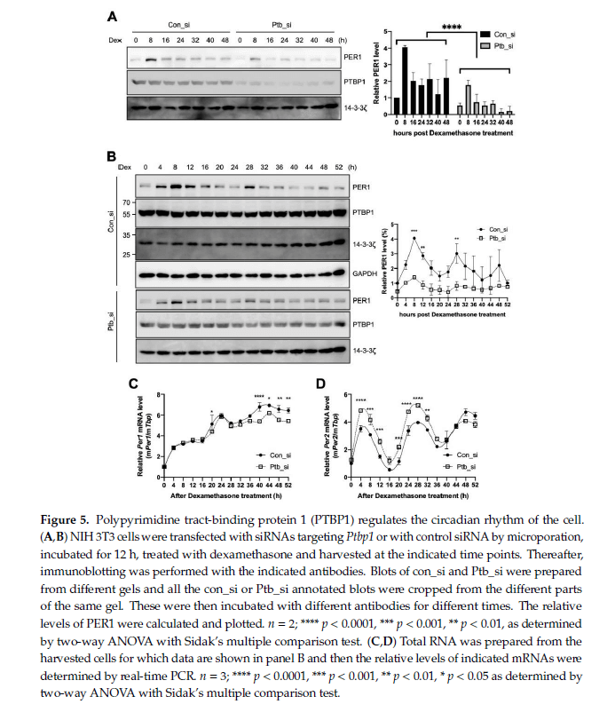 research_image