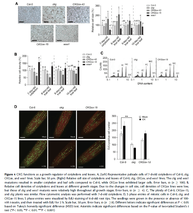 research_image