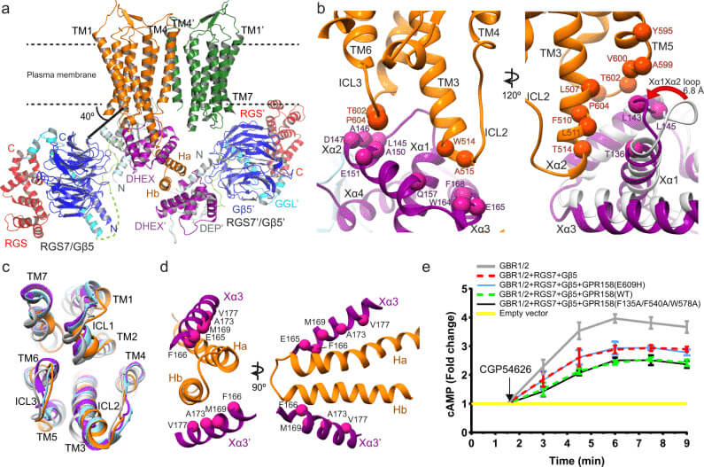 research_image