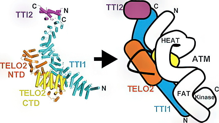 research_image