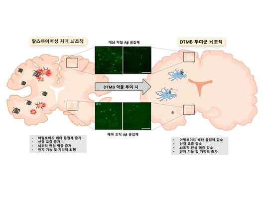 research_image