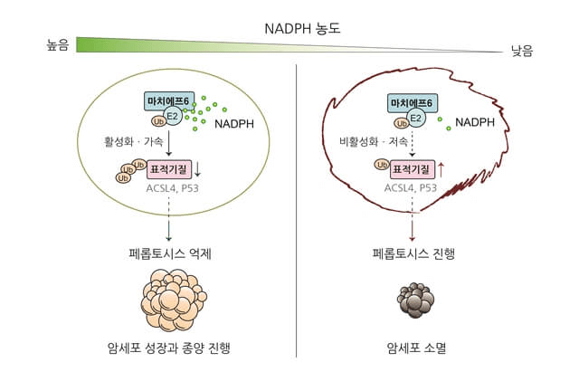 research_image