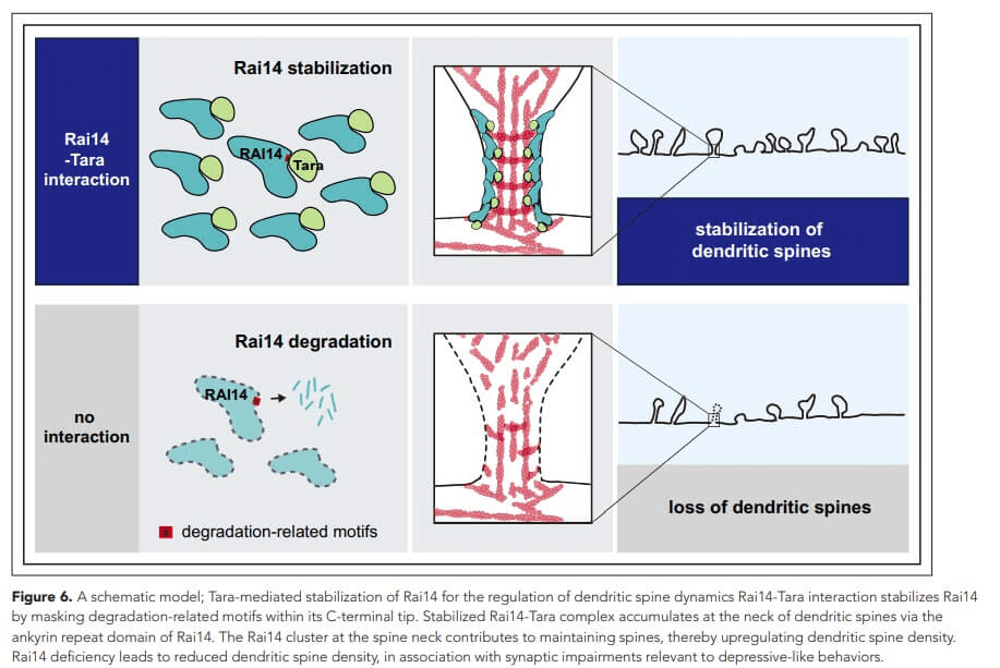 research_image