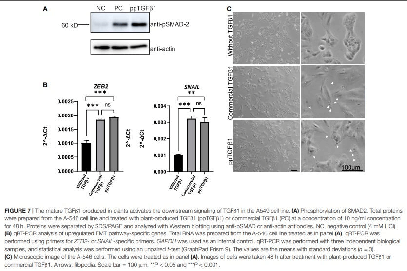 research_image