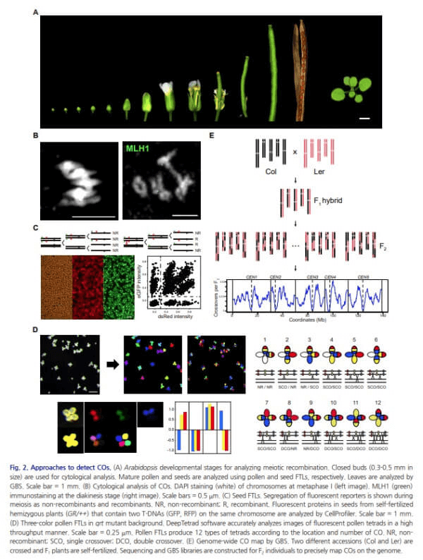 research_image