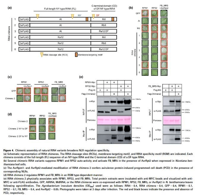 research_image