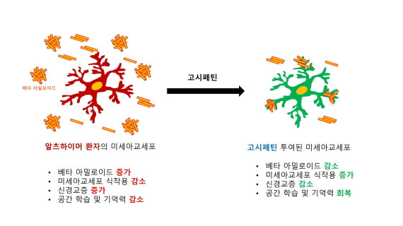 research_image