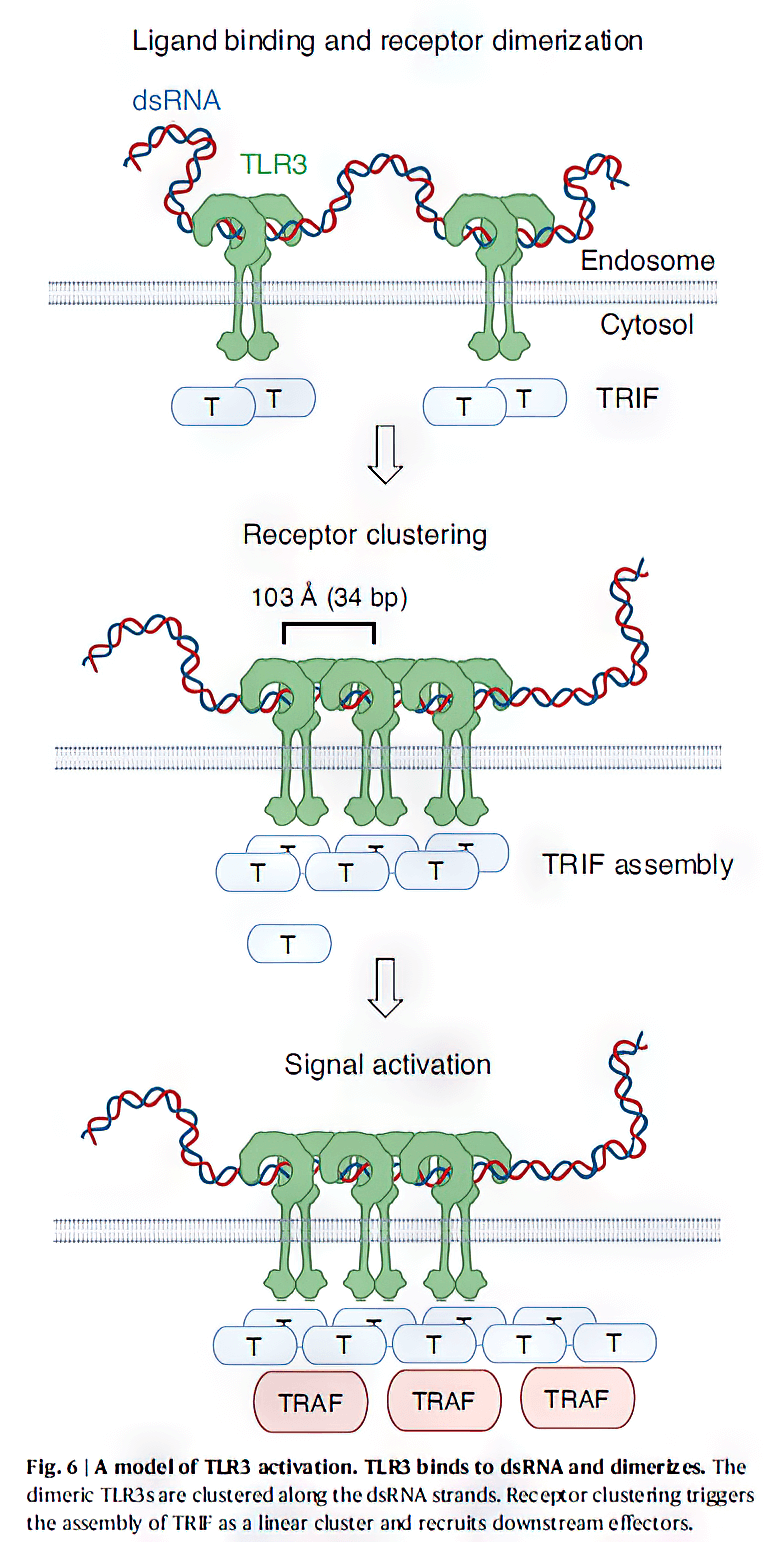 research_image