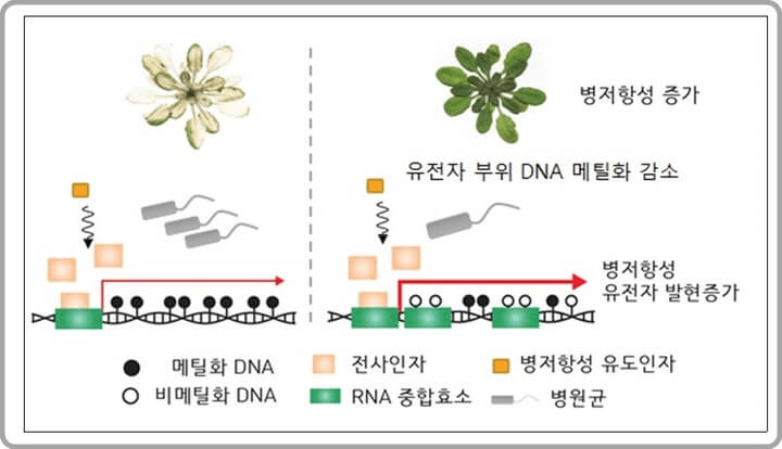 research_image