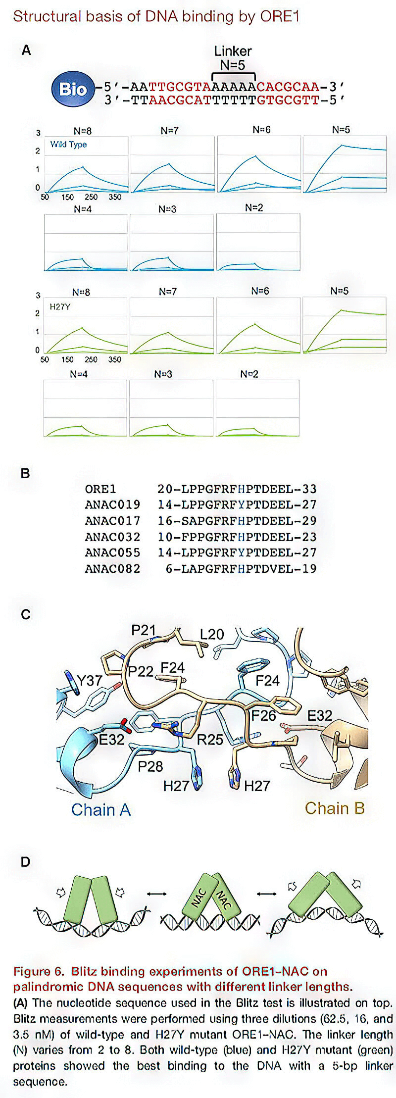 research_image