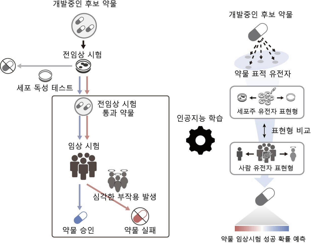 research_image