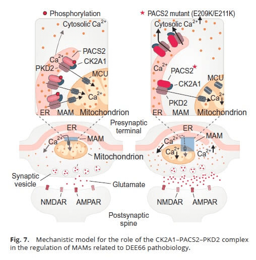 research_image
