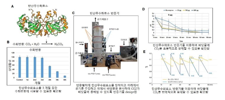 첨부파일